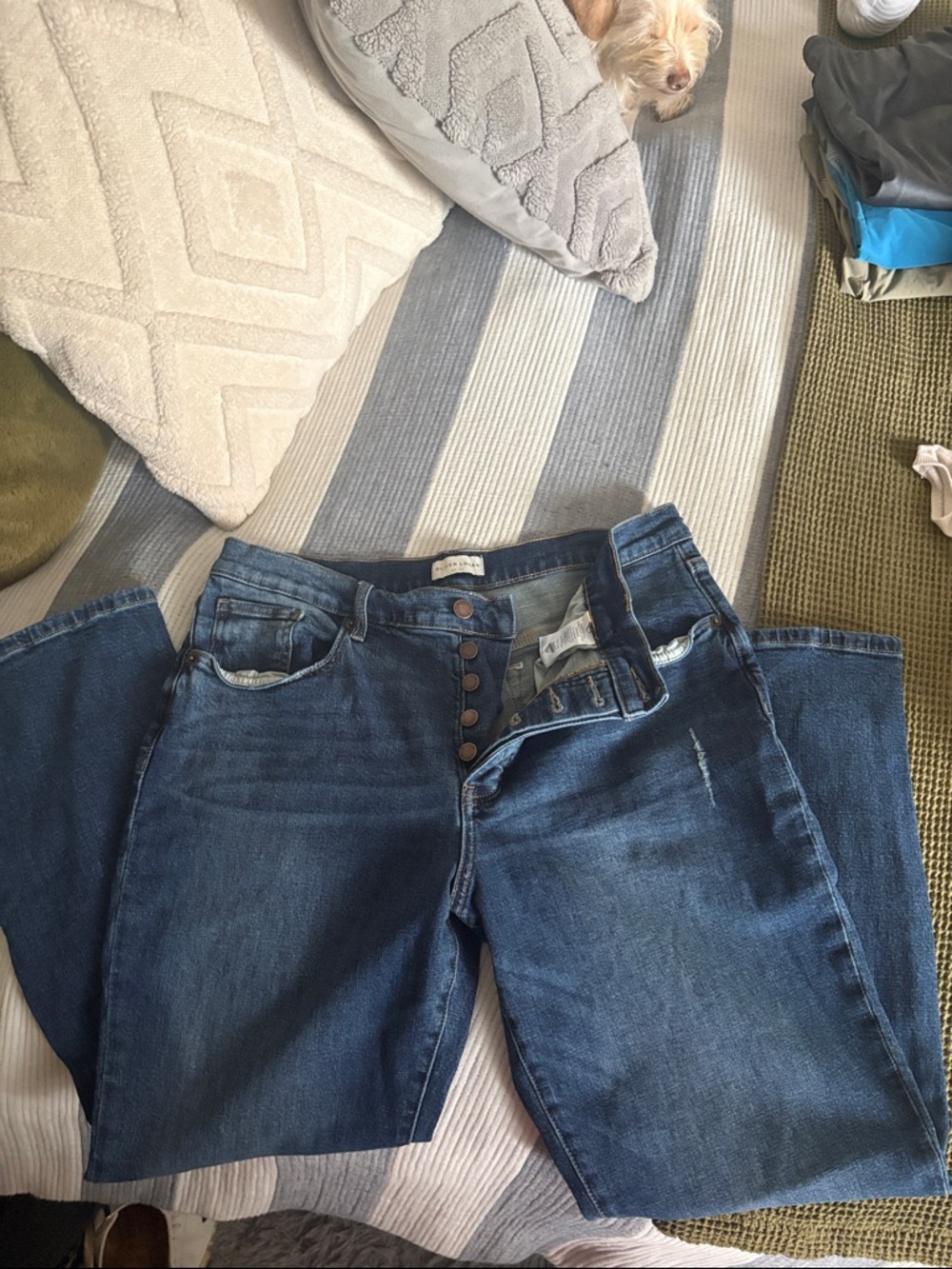 Women's Oliver Logan Jeans in Medium Blue Wash